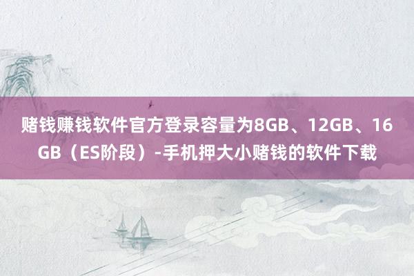 赌钱赚钱软件官方登录容量为8GB、12GB、16GB（ES阶段）-手机押大小赌钱的软件下载