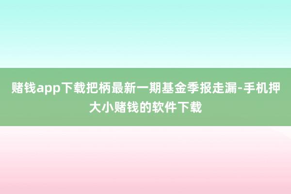赌钱app下载把柄最新一期基金季报走漏-手机押大小赌钱的软件下载
