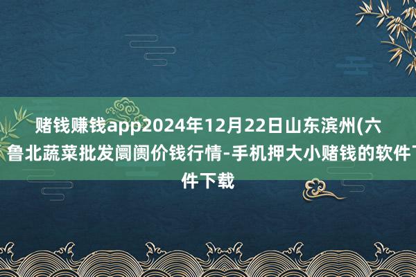 赌钱赚钱app2024年12月22日山东滨州(六街)鲁北蔬菜批发阛阓价钱行情-手机押大小赌钱的软件下载