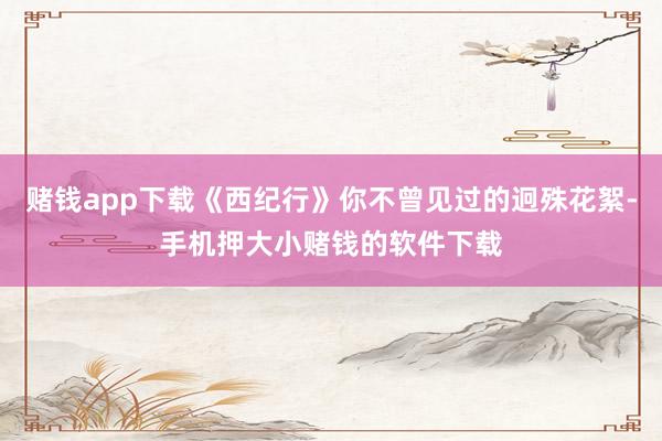 赌钱app下载《西纪行》你不曾见过的迥殊花絮-手机押大小赌钱的软件下载