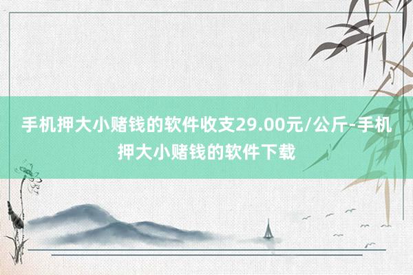 手机押大小赌钱的软件收支29.00元/公斤-手机押大小赌钱的软件下载