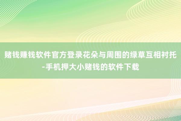 赌钱赚钱软件官方登录花朵与周围的绿草互相衬托-手机押大小赌钱的软件下载