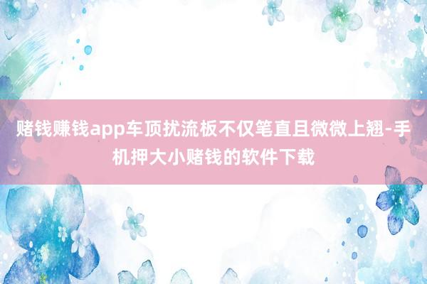 赌钱赚钱app车顶扰流板不仅笔直且微微上翘-手机押大小赌钱的软件下载