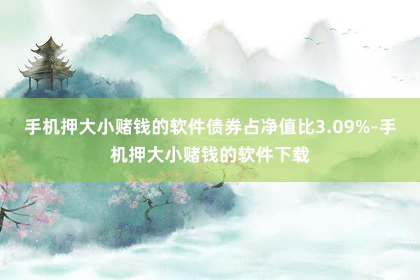 手机押大小赌钱的软件债券占净值比3.09%-手机押大小赌钱的软件下载