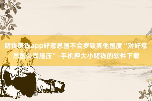 赌钱赚钱app好意思国不会罗致其他国度“对好意思国公司施压”-手机押大小赌钱的软件下载