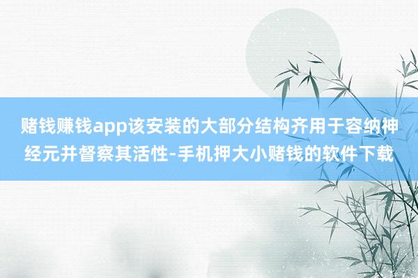 赌钱赚钱app该安装的大部分结构齐用于容纳神经元并督察其活性-手机押大小赌钱的软件下载