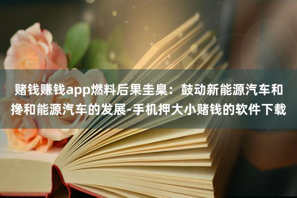 赌钱赚钱app燃料后果圭臬：鼓动新能源汽车和搀和能源汽车的发展-手机押大小赌钱的软件下载