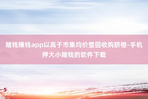 赌钱赚钱app以高于市集均价整园收购脐橙-手机押大小赌钱的软件下载