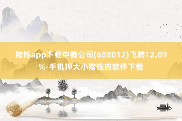 赌钱app下载中微公司(688012)飞腾12.09%-手机押大小赌钱的软件下载