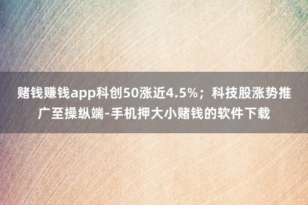 赌钱赚钱app科创50涨近4.5%；科技股涨势推广至操纵端-手机押大小赌钱的软件下载