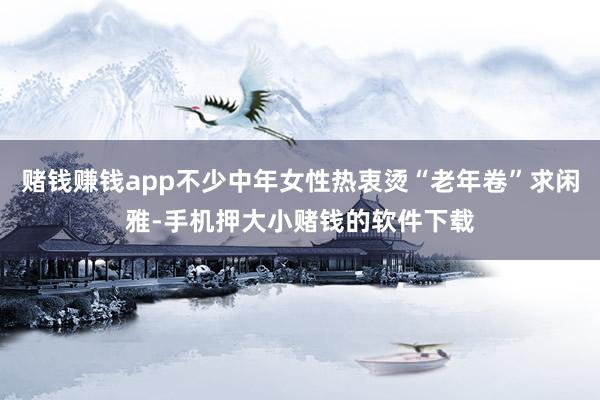 赌钱赚钱app不少中年女性热衷烫“老年卷”求闲雅-手机押大小赌钱的软件下载