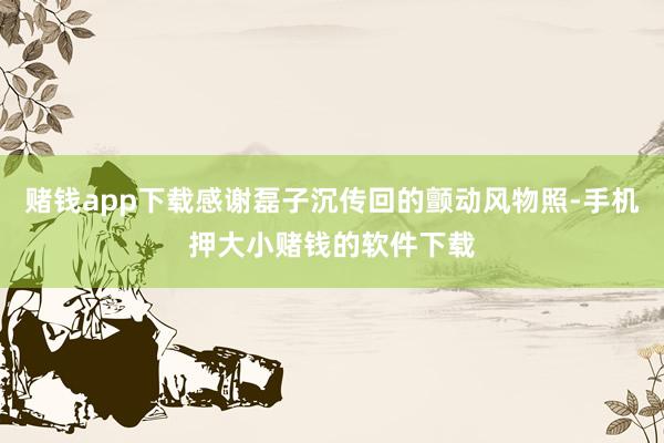 赌钱app下载感谢磊子沉传回的颤动风物照-手机押大小赌钱的软件下载