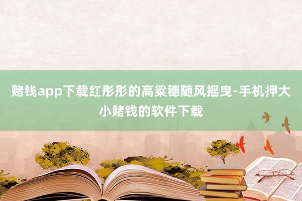 赌钱app下载红彤彤的高粱穗随风摇曳-手机押大小赌钱的软件下载