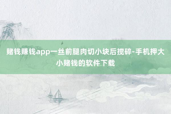 赌钱赚钱app一丝前腿肉切小块后搅碎-手机押大小赌钱的软件下载
