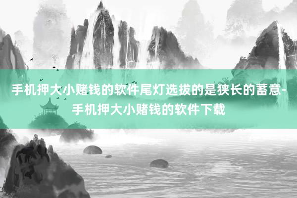 手机押大小赌钱的软件尾灯选拔的是狭长的蓄意-手机押大小赌钱的软件下载