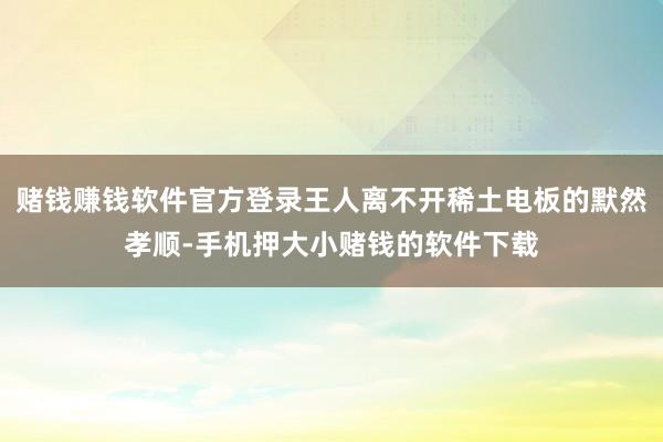 赌钱赚钱软件官方登录王人离不开稀土电板的默然孝顺-手机押大小赌钱的软件下载