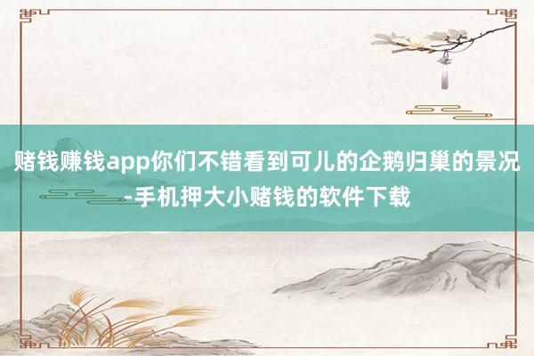赌钱赚钱app你们不错看到可儿的企鹅归巢的景况-手机押大小赌钱的软件下载