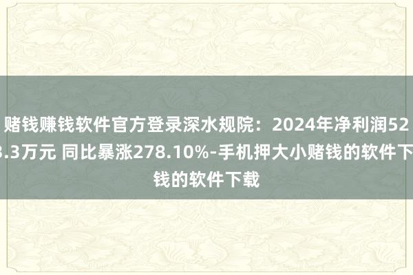 赌钱赚钱软件官方登录深水规院：2024年净利润5283.3万元 同比暴涨278.10%-手机押大小赌钱的软件下载