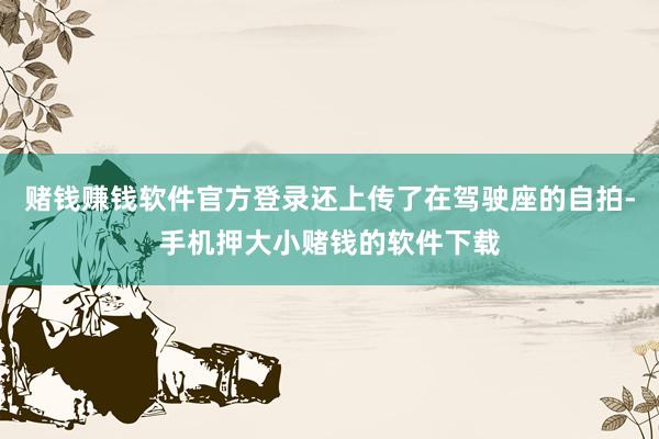 赌钱赚钱软件官方登录还上传了在驾驶座的自拍-手机押大小赌钱的软件下载