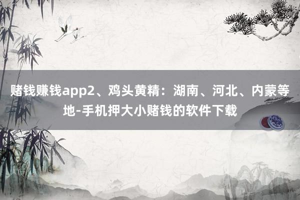 赌钱赚钱app2、鸡头黄精：湖南、河北、内蒙等地-手机押大小赌钱的软件下载