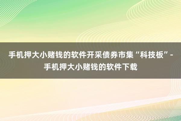 手机押大小赌钱的软件开采债券市集“科技板”-手机押大小赌钱的软件下载
