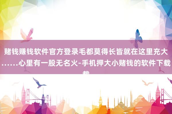 赌钱赚钱软件官方登录毛都莫得长皆就在这里充大……心里有一股无名火-手机押大小赌钱的软件下载