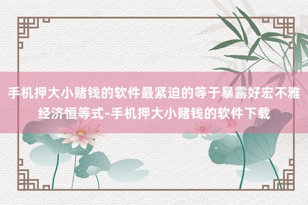 手机押大小赌钱的软件最紧迫的等于暴露好宏不雅经济恒等式-手机押大小赌钱的软件下载