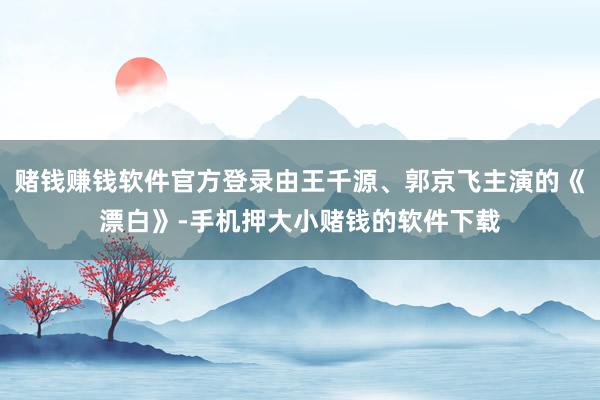 赌钱赚钱软件官方登录由王千源、郭京飞主演的《漂白》-手机押大小赌钱的软件下载