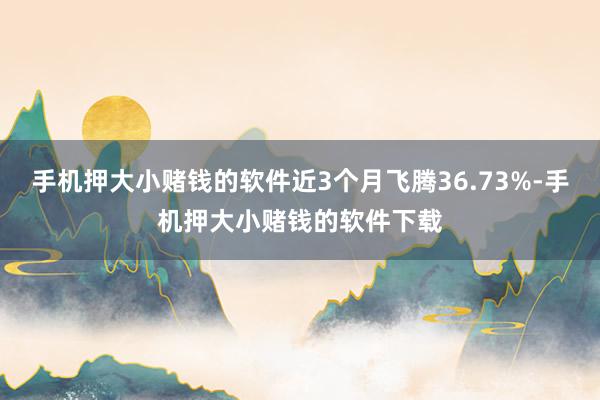 手机押大小赌钱的软件近3个月飞腾36.73%-手机押大小赌钱的软件下载