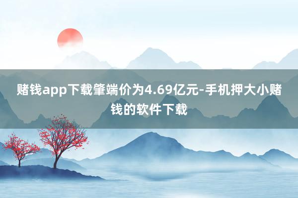 赌钱app下载肇端价为4.69亿元-手机押大小赌钱的软件下载