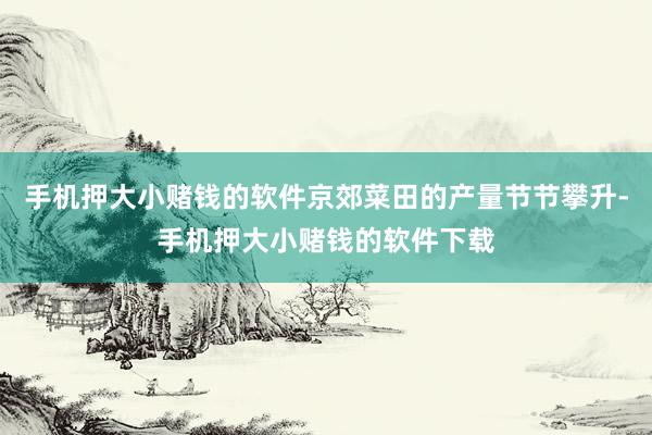 手机押大小赌钱的软件京郊菜田的产量节节攀升-手机押大小赌钱的软件下载