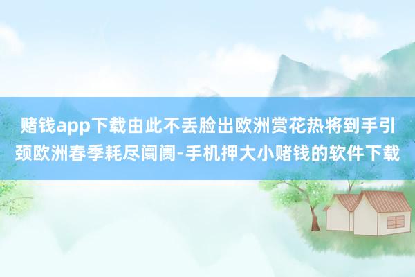 赌钱app下载由此不丢脸出欧洲赏花热将到手引颈欧洲春季耗尽阛阓-手机押大小赌钱的软件下载