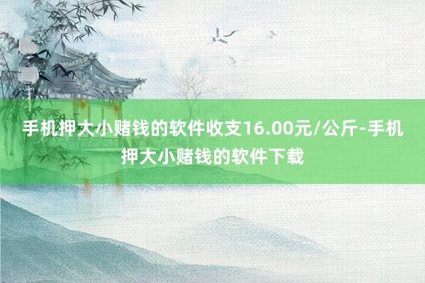 手机押大小赌钱的软件收支16.00元/公斤-手机押大小赌钱的软件下载
