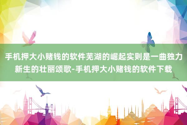 手机押大小赌钱的软件芜湖的崛起实则是一曲独力新生的壮丽颂歌-手机押大小赌钱的软件下载