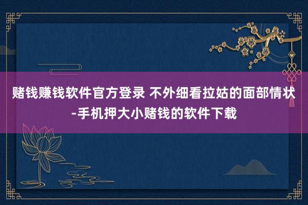 赌钱赚钱软件官方登录 不外细看拉姑的面部情状-手机押大小赌钱的软件下载