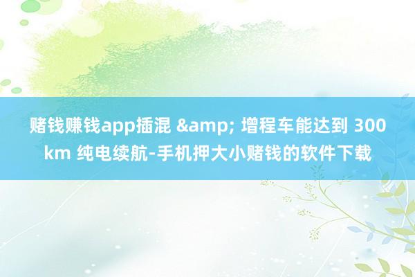 赌钱赚钱app插混 & 增程车能达到 300km 纯电续航-手机押大小赌钱的软件下载