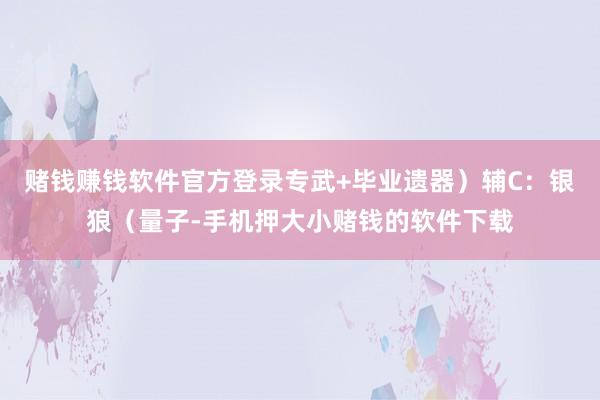 赌钱赚钱软件官方登录专武+毕业遗器）辅C：银狼（量子-手机押大小赌钱的软件下载