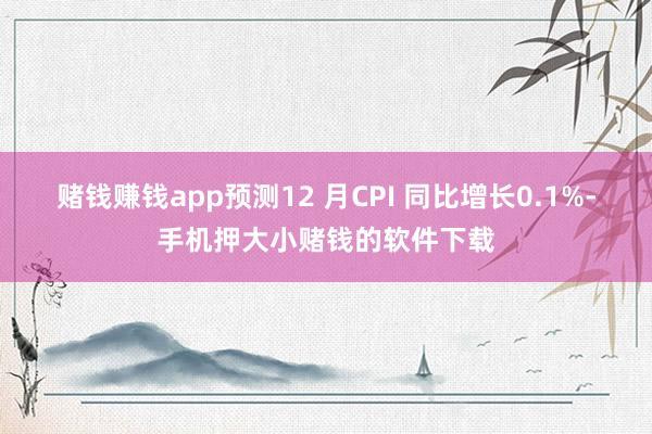 赌钱赚钱app预测12 月CPI 同比增长0.1%-手机押大小赌钱的软件下载