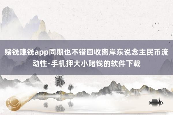 赌钱赚钱app同期也不错回收离岸东说念主民币流动性-手机押大小赌钱的软件下载