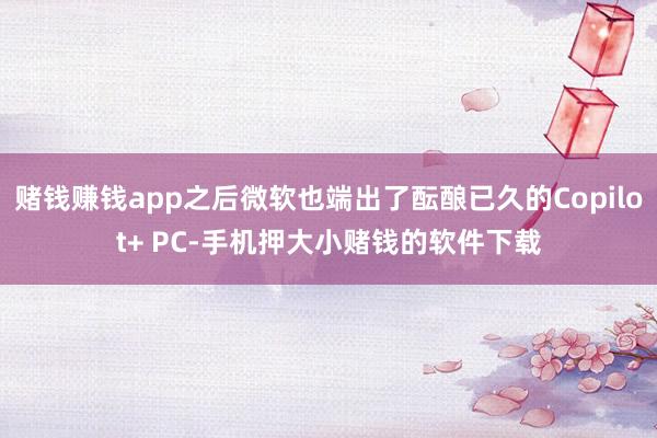赌钱赚钱app之后微软也端出了酝酿已久的Copilot+ PC-手机押大小赌钱的软件下载