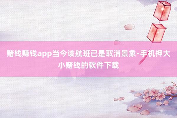赌钱赚钱app当今该航班已是取消景象-手机押大小赌钱的软件下载