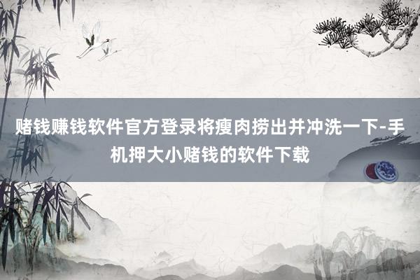 赌钱赚钱软件官方登录将瘦肉捞出并冲洗一下-手机押大小赌钱的软件下载