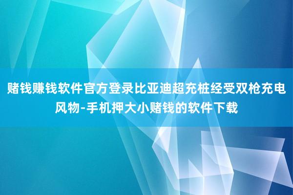 赌钱赚钱软件官方登录比亚迪超充桩经受双枪充电风物-手机押大小赌钱的软件下载