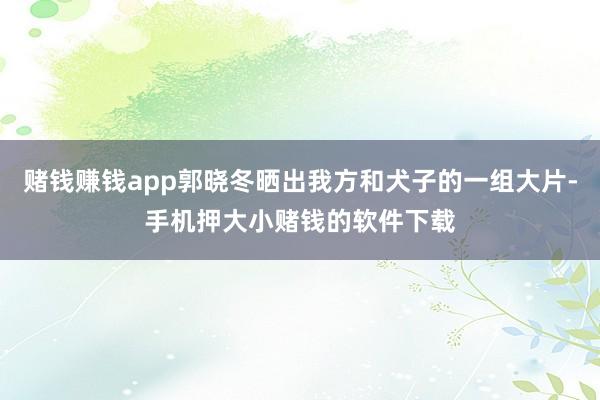 赌钱赚钱app郭晓冬晒出我方和犬子的一组大片-手机押大小赌钱的软件下载
