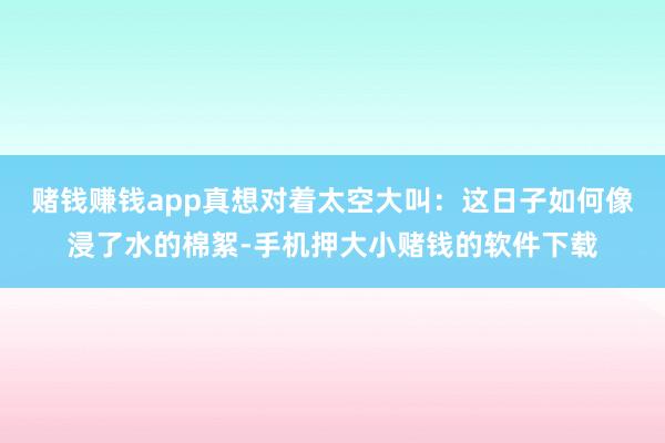 赌钱赚钱app真想对着太空大叫：这日子如何像浸了水的棉絮-手机押大小赌钱的软件下载