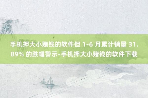 手机押大小赌钱的软件但 1-6 月累计销量 31.89% 的跌幅警示-手机押大小赌钱的软件下载