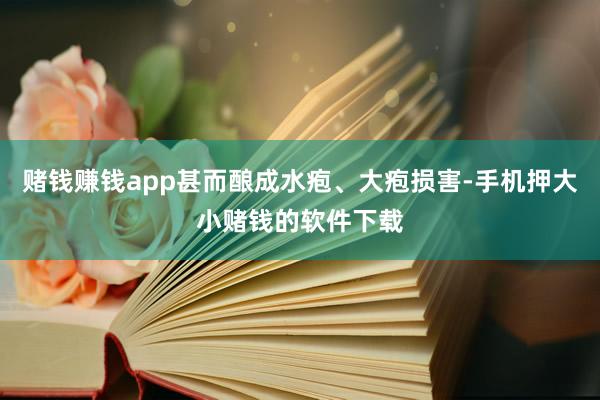 赌钱赚钱app甚而酿成水疱、大疱损害-手机押大小赌钱的软件下载