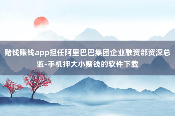 赌钱赚钱app担任阿里巴巴集团企业融资部资深总监-手机押大小赌钱的软件下载