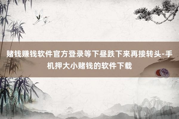 赌钱赚钱软件官方登录等下昼跌下来再接转头-手机押大小赌钱的软件下载