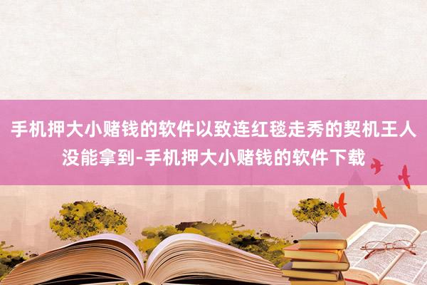 手机押大小赌钱的软件以致连红毯走秀的契机王人没能拿到-手机押大小赌钱的软件下载